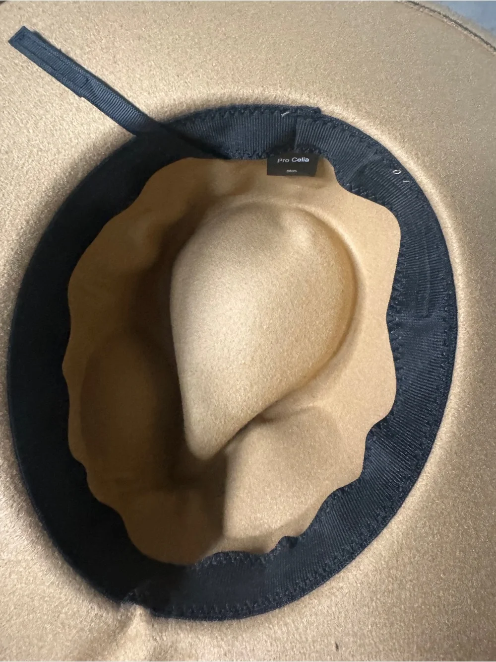 Classic Camel Felt Wide-Brim Hat with Ribbon Trim
